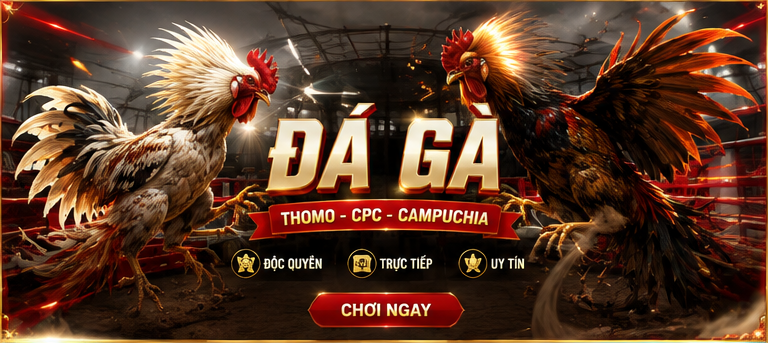 sanh da ga do666